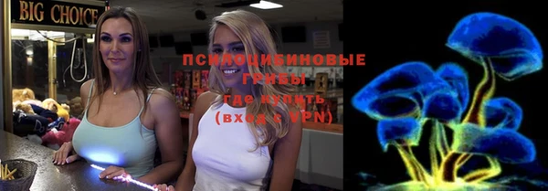 мдпв Медногорск