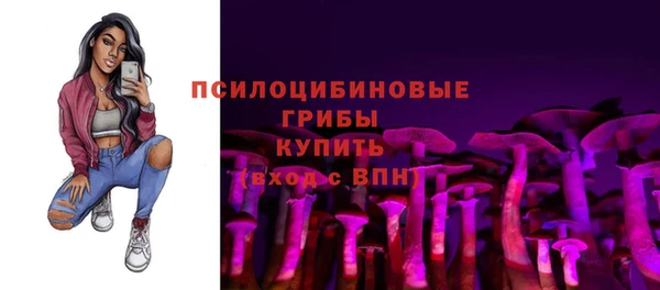 мдпв Медногорск