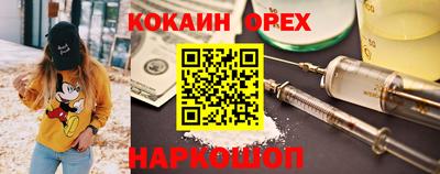 кокс Гатчина