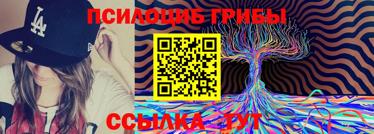 Галлюциногенные грибы мицелий  Вход с VPN  что такое   Всеволожск 