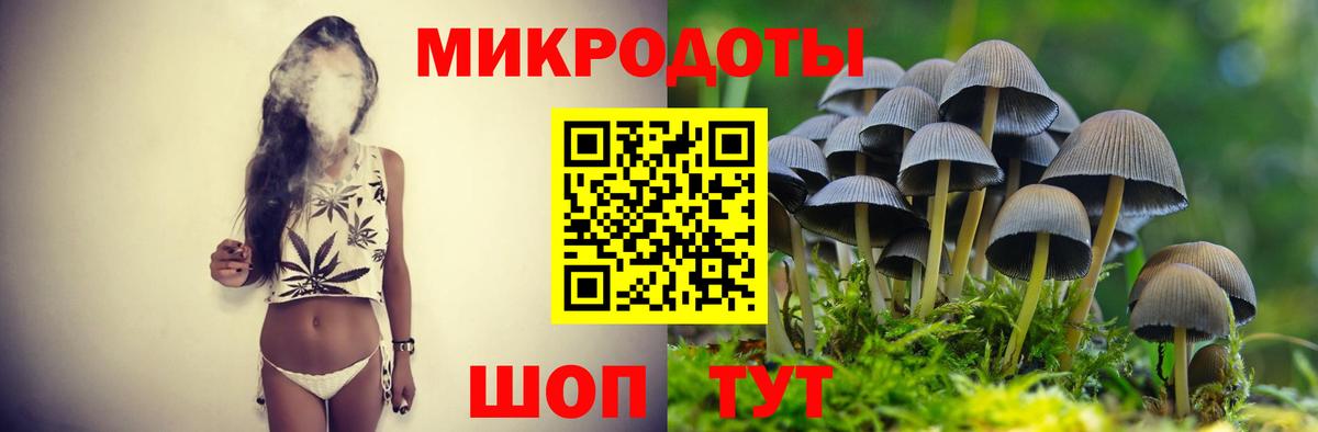 Галлюциногенные грибы Psilocybe Всеволожск